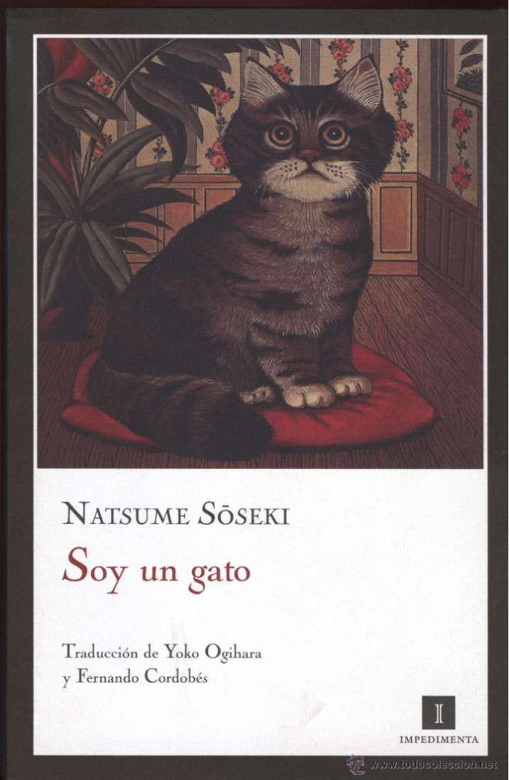 Soy un gato