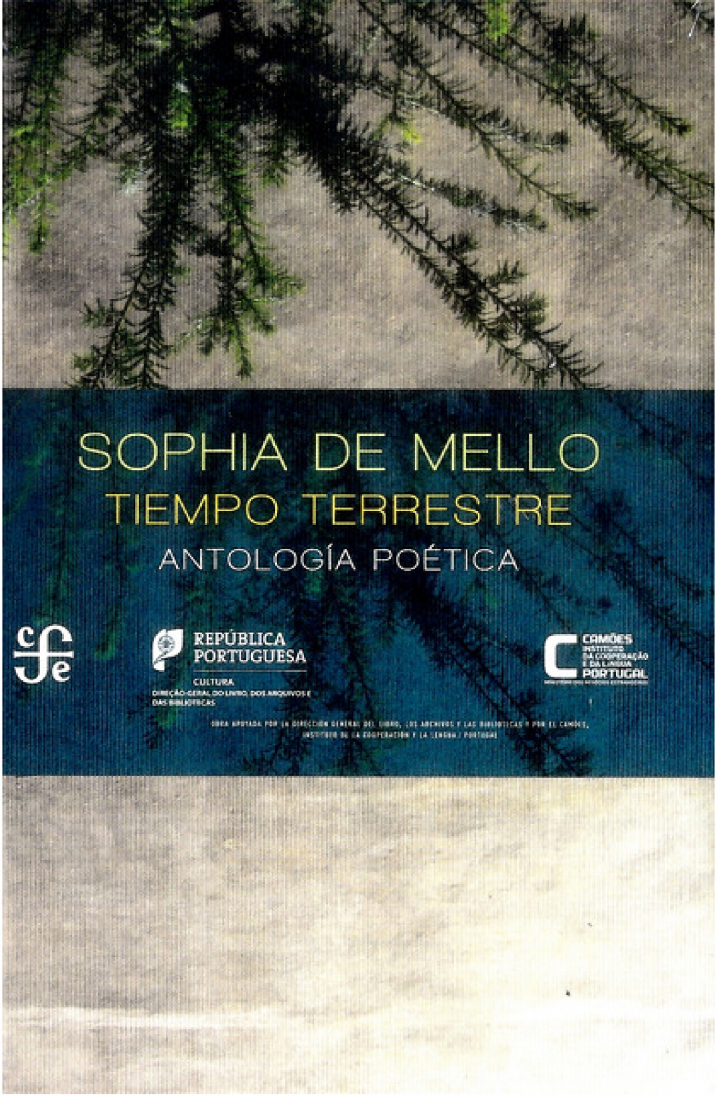 Tiempo terrestre