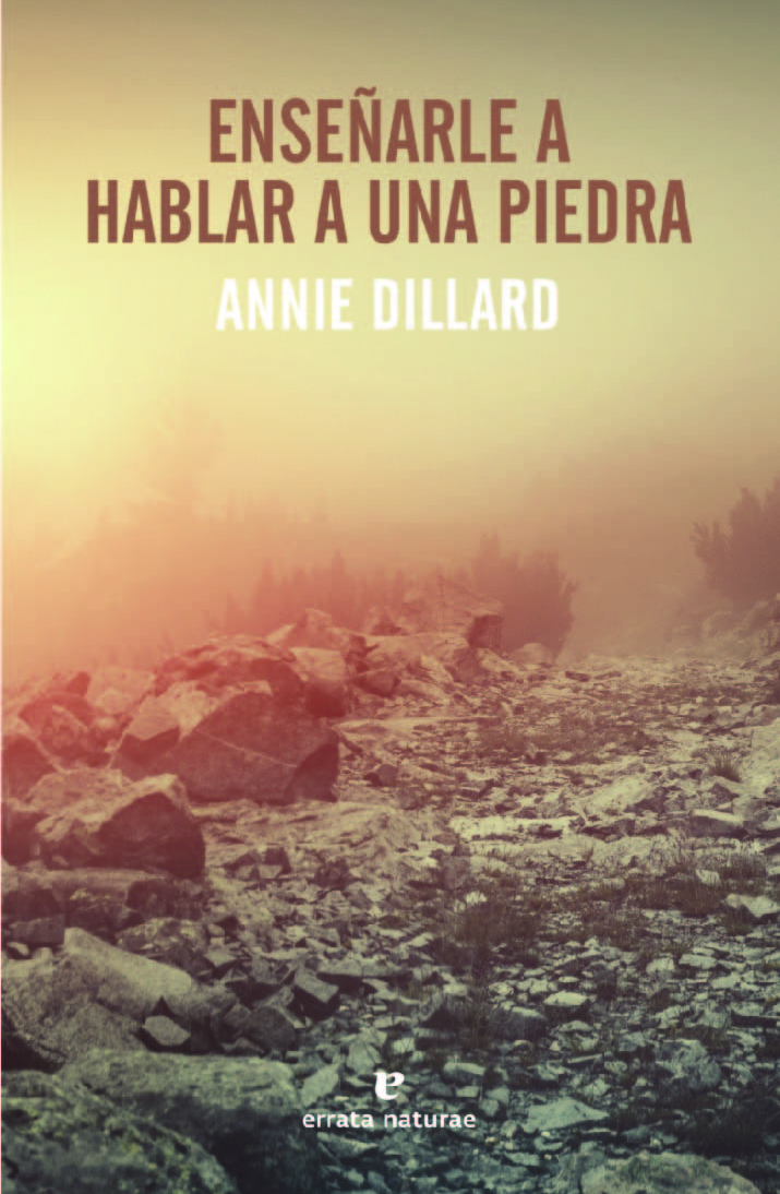 Enseñarle a hablar a una piedra