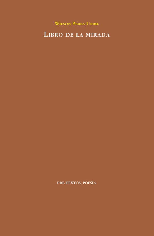 Libro de la mirada