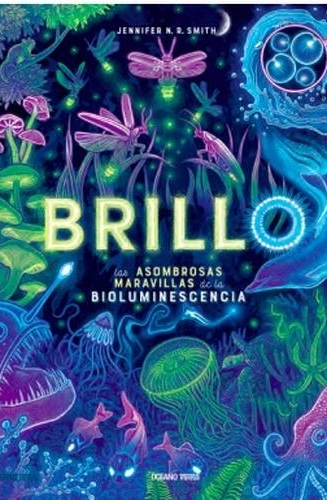 Brillo