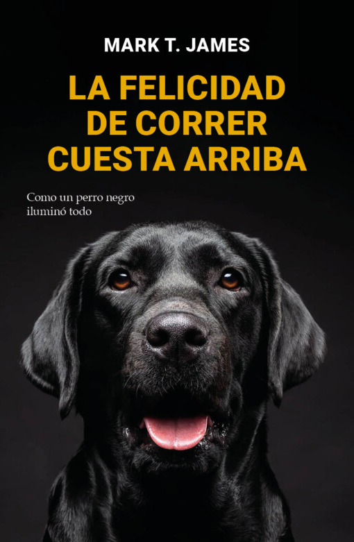 La felicidad de correr cuesta arriba