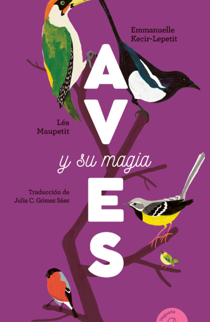 Aves y su magia
