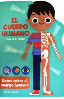 El cuerpo humano levanta las solapas